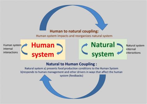 Genericnatural Humansystemcanpng