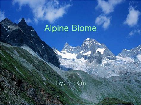 Ppt Alpine Biome Powerpoint Presentation Free Download Id1208910