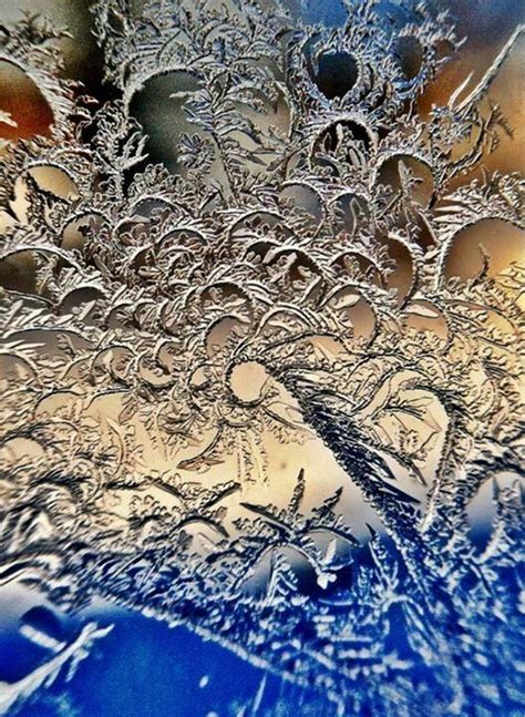 Frost Pattern On A Window Winter Frost Winter Snow Winter Nature