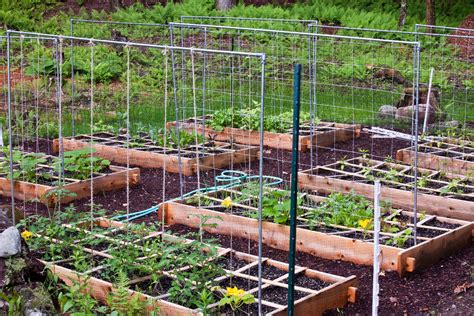 How To Trellis Your Raised Bed Garden