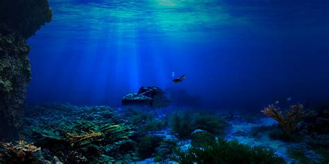 11 Awe Inspiring Shots Of Life Under The Sea