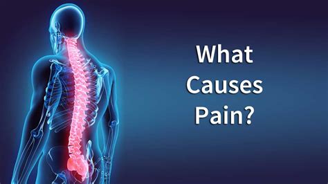 Back Pain The Universal Language What Causes My Spinal Pain