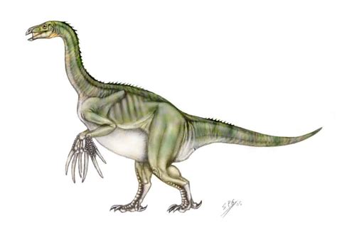 Therizinosaurus Facts And Pictures