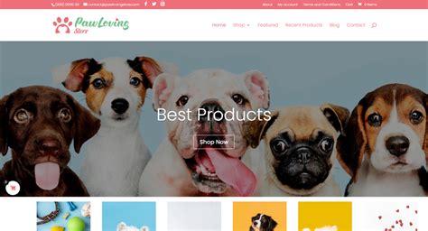 Paw Loving Store — Ecommerce Store Sold On Flippa Automated Dropshipping Store Custom Premium