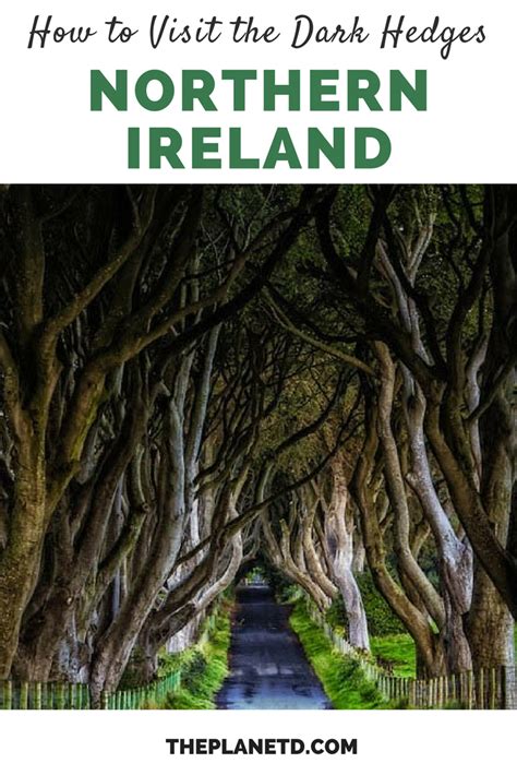 The Dark Hedges Of Northern Ireland All You Need To Know Ireland