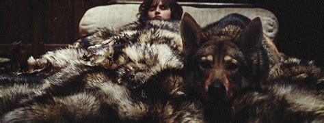 Check spelling or type a new query. Where Are the Starks' Direwolves on Game of Thrones ...