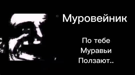 Сел на диету