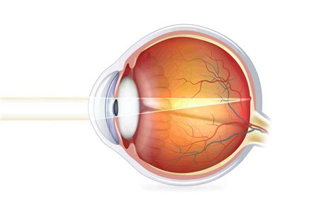 The Cornea Real Eyes Optometry