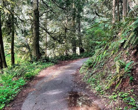 13 Things To Know Before Visiting Ludlow Falls In Port Ludlow And Hiking