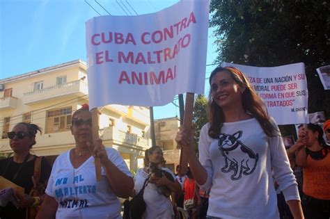 Animales Activistas Por Sus Derechos Proclaman Una Ley Que Los Proteja