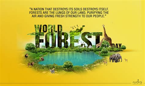 World Forest Day On Behance