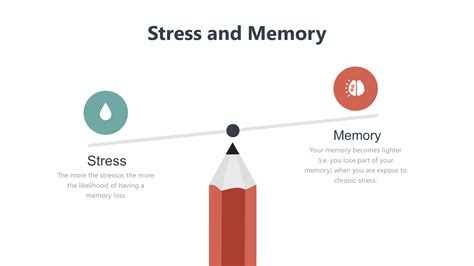 The Link Between Stress And Memory Loss A Comprehensive Explainer