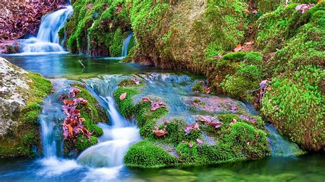 Beautiful Waterfall Stream Between Green Algae Covered Rocks Nature Hd