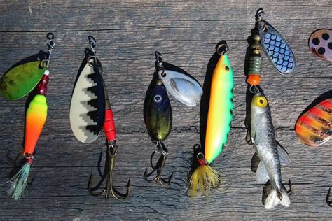 5 Best Catfish Rig For Bank Fishing Expert Anglers Choice Fishingpapa