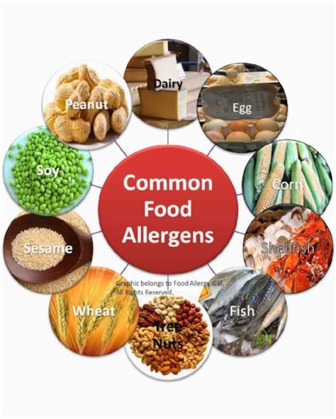 All of these foods or any ingredient that contains protein from one of them are designated as one of the major food allergens except: Food Allergy | Hormone Testing | Thyroid and Adrenal — Dr ...