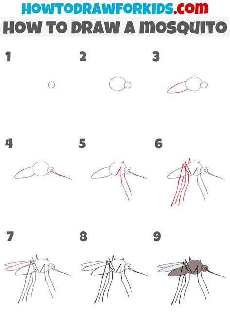 How To Draw A Mosquito Step By Step In 2022 Drawings Mosquito