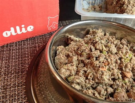 These meal options consist of the following Ollie Dog Food Makes Feeding Raw Easy and Convenient ...