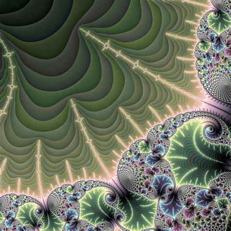 Beautiful Fractal Free Stock Photo Public Domain Pictures