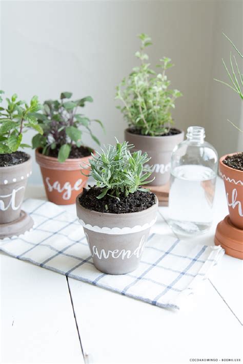 Inspiring Low Budget Unique Ideas For Herb Containers Eco Snippets