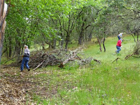 Oregon Department Of Forestry Small Forestland Grant Program State