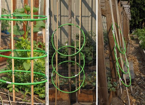 10 Cheap And Easy Diy Tomato Cages In 2020 Tomato Cages Tomato