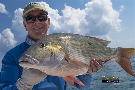 Mutton Snapper Reef Fishing Key West Key West Fishing Report