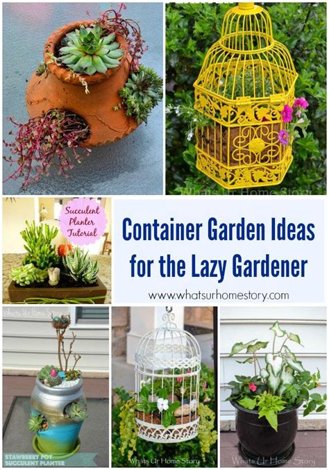 6 Easy Container Garden Ideas For The Lazy Gardener Whats Ur Home