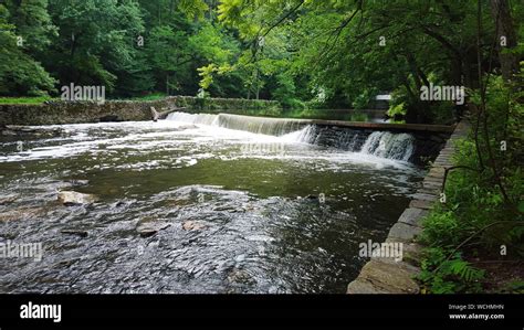 Water Flowing At Dam Against Trees Stock Photo Alamy