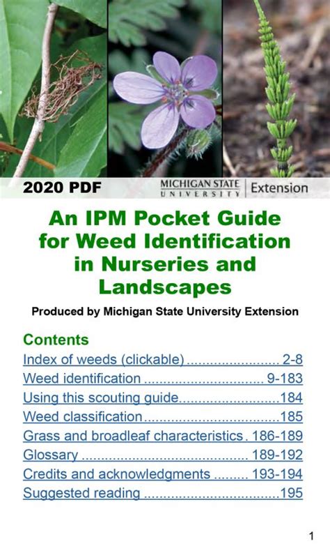 A Mobile Friendly Guide For Weed Identification In Nurseries And