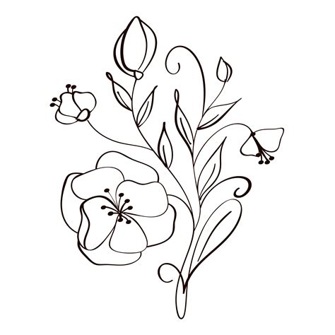 Modern Flowers Drawing And Sketch Floral With Line Art