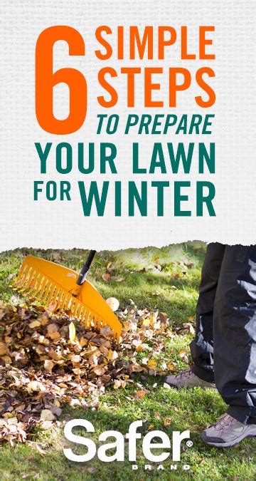 6 Simple Steps To Prepare Your Lawn For Winter