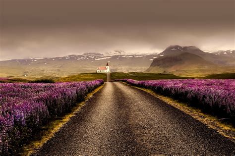 Hdr Photo By Mountains And Road With Flowers In Iceland Image Free