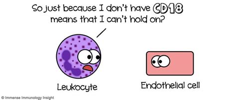 immense immunology insight immunology lab humor medical laboratory science