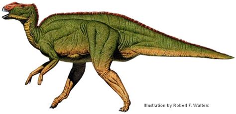 Hadrosaurus Wiki Prehistórico Fandom Powered By Wikia