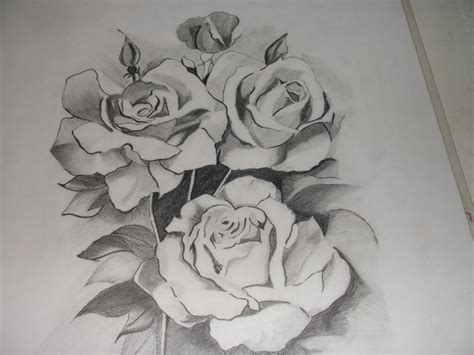 Pencil Drawing Pictures Flowers Creative Original Artwork Drawn Hand