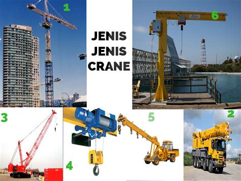 Jenis Jenis Crane Delinewstv