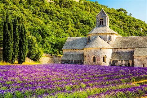Provence Au Cœur Des Traditions