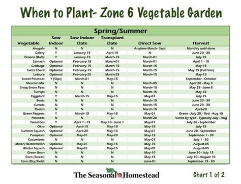 When To Plant Vegetables In Zone 6 The Seasonal Homestead