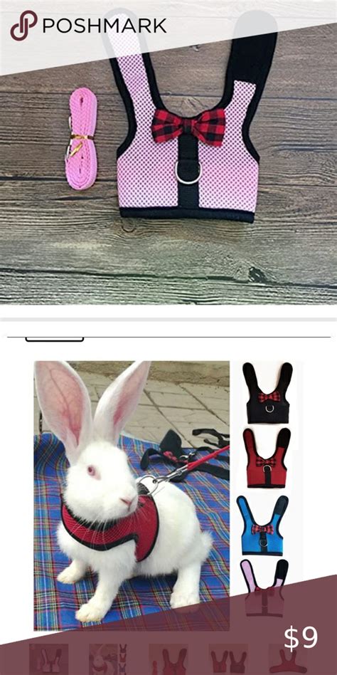 Rabbit Clothes For Rabbits Small Animal Clothes Ferret Clothes Pet
