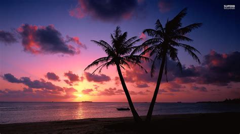 Ocean Sunset HD wallpaper | 1366x768 | #6760 | Tree sunset wallpaper ...