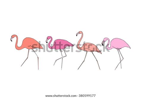 Vector Illustration Hand Drawn Graceful Flamingos Stock Vector Royalty