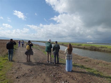 Ανοιξιάτικη εξόρμηση παρατήρησης της φύσης στους υγρότοπους του Κόλπου
