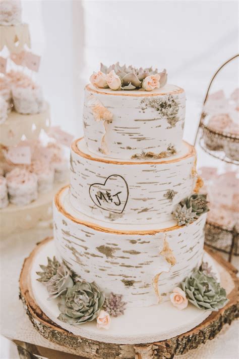 Birch Bark Wedding Cake With Fondant Succulents And Roses Made By