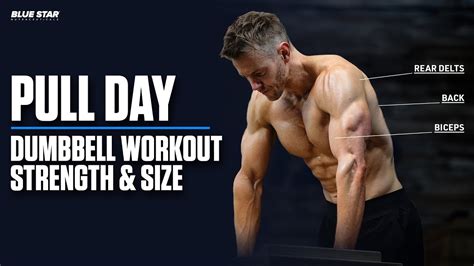 5 Day Dumbbell Workout Push Pull Legs