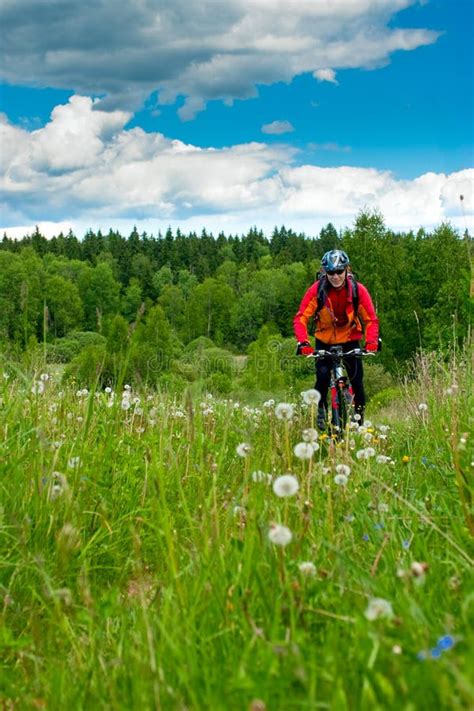 Cross Country Biker Stock Photo Image Of Journey Meadow 11453508