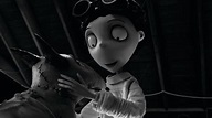 Frankenweenie (2012) – Kinderfilmblog