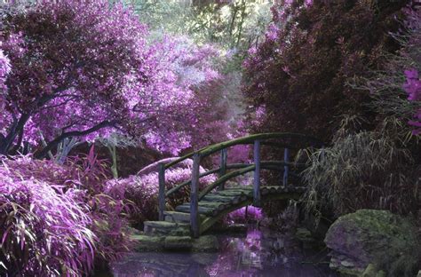 Garden Bridge Beauty Among The Green Outsiders Within