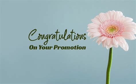 Congratulations On Promotion Wishes Messages Of Colleague