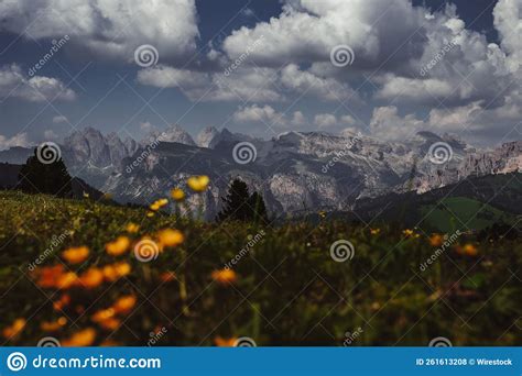 Scenic Landscape With Lush Green Meadow With Yellow Flowers And