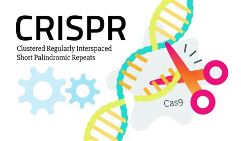Crispr Things You Should Know About Crispr Gene Editing Tool